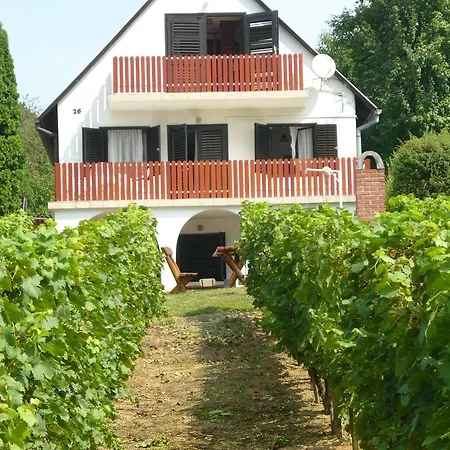 Judit Vendeghaz A Balatonnal