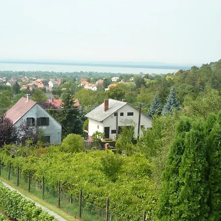 Judit Vendeghaz A Balatonnal * Vonyarcvashegy