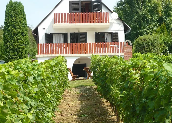 Judit Vendeghaz A Balatonnal